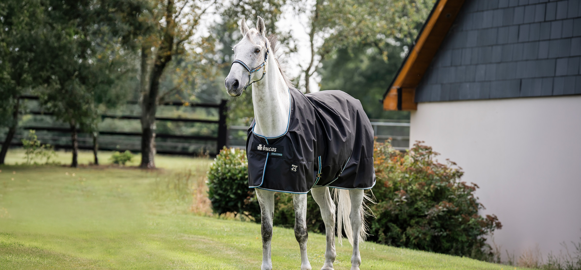 Bucas Anniversary Turnout Light SD Sapphire