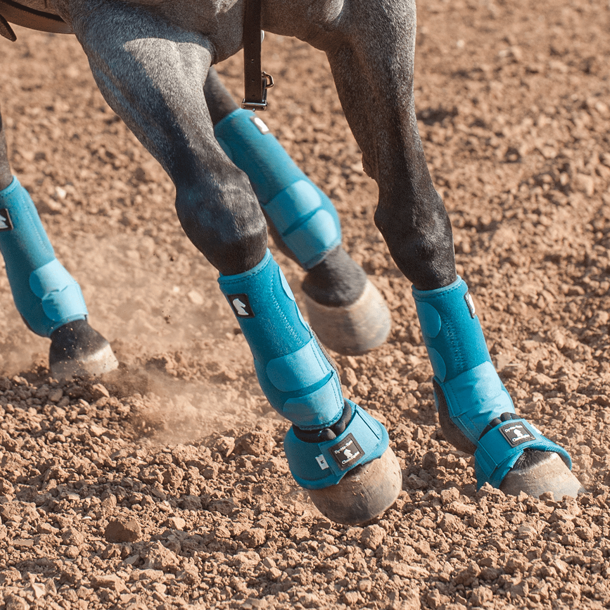 Classic Equine Flexion by Legacy2 - Stivali di supporto anteriore, taglia S, colore: Nero Classic Equine Flexion by Legacy2 - Stivali di supporto anteriore, taglia S, colore: Nero