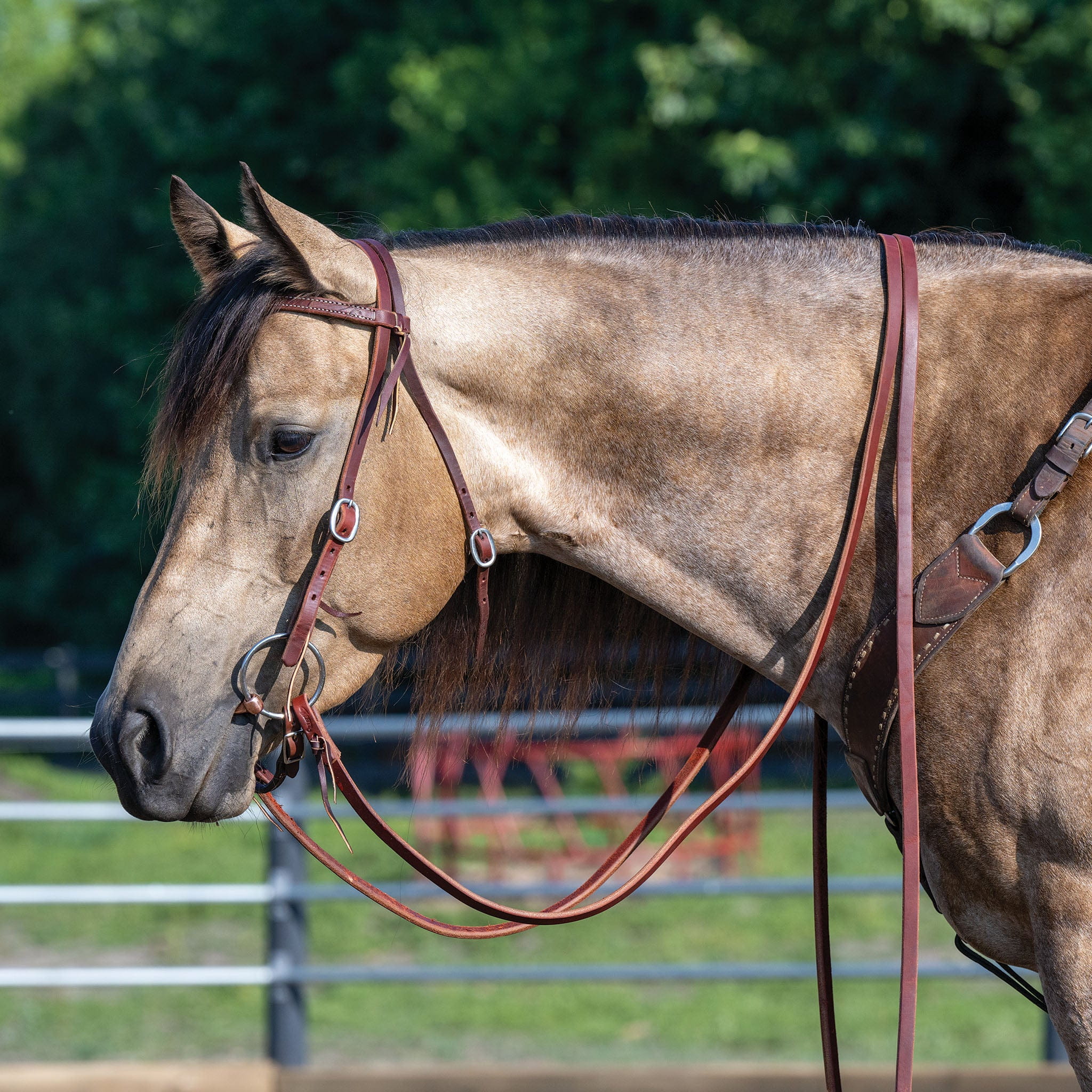 Weaver 5/8" Oiled Extra Heavy Harness Split Reins 8'