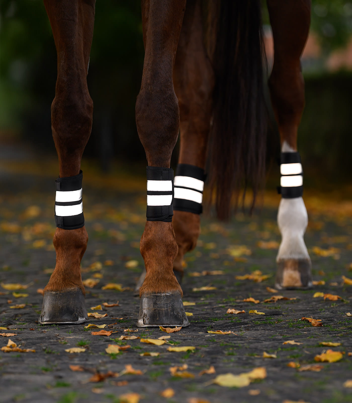 Reflex Bandage Set