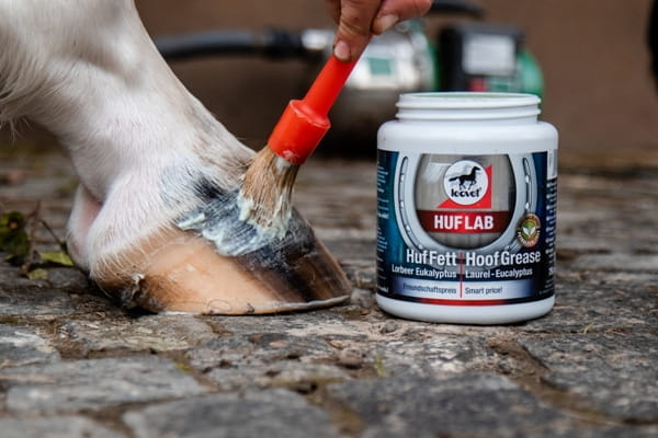 Leovet Huflab Huffett