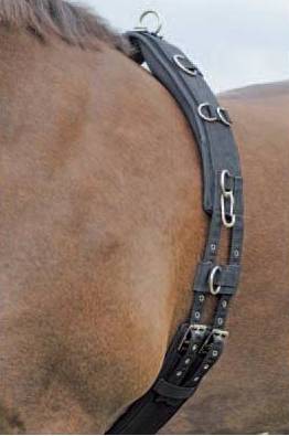 Longiergurt Profi-Soft