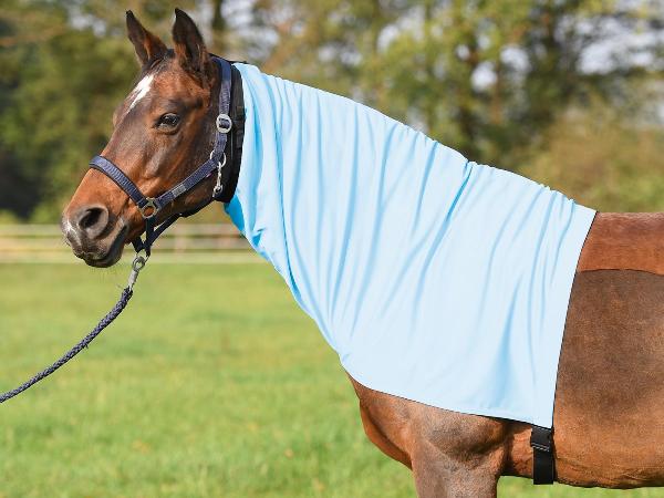 Ekzemer Halsteil Extensive