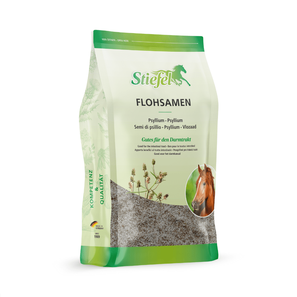 Stiefel Flohsamen, Schalen, 1 Kg