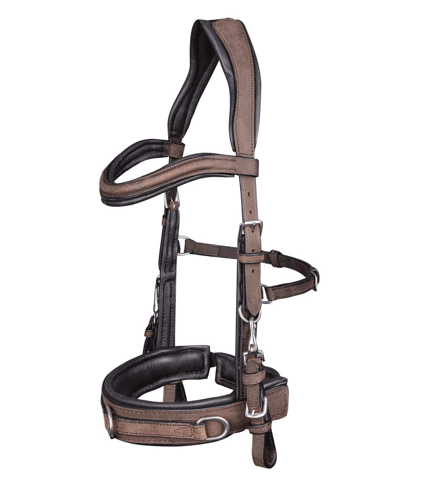 Lederkappzaum Anatomic