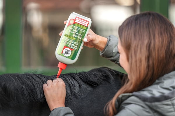 Leovet Teebaum Pflegelotion