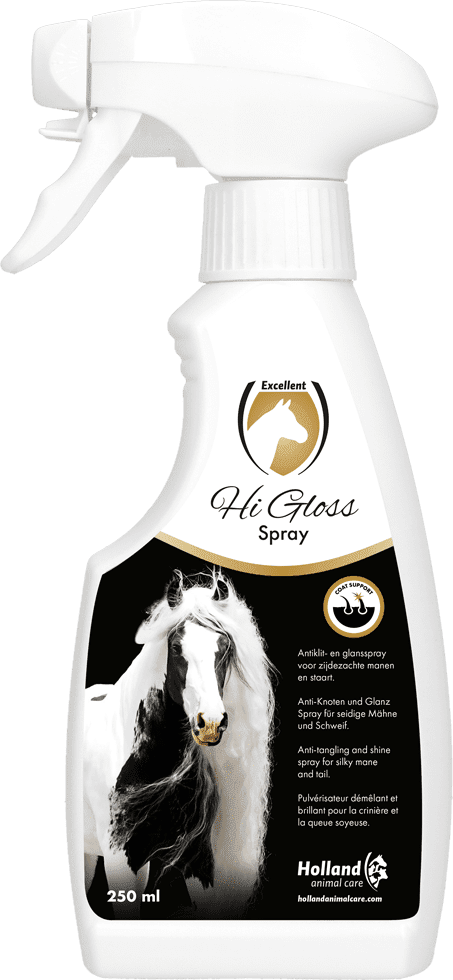 Hi Gloss Spray 500ml