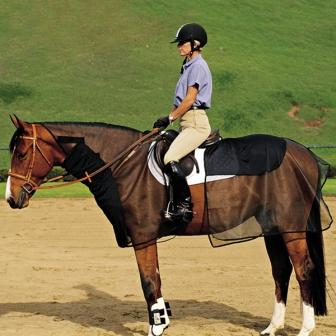 Crusader Cashel  Quiet  Bug Armor