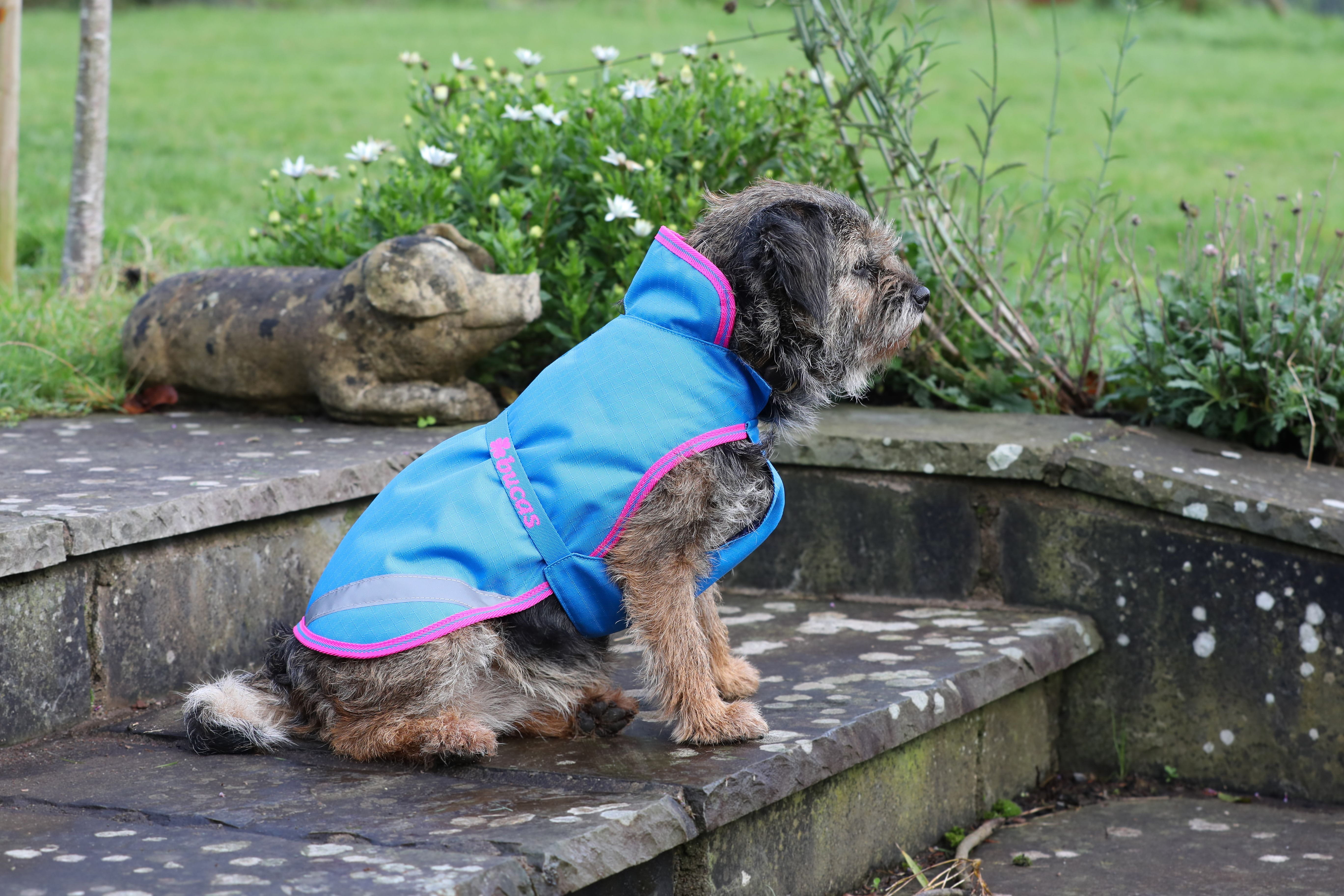 Bucas Hundemantel Freedom Dog 300G