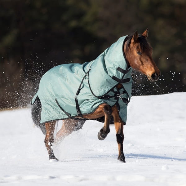 Outdoordecke Flexible Pro 250