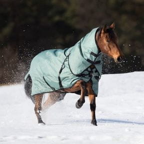 Pferdedecken