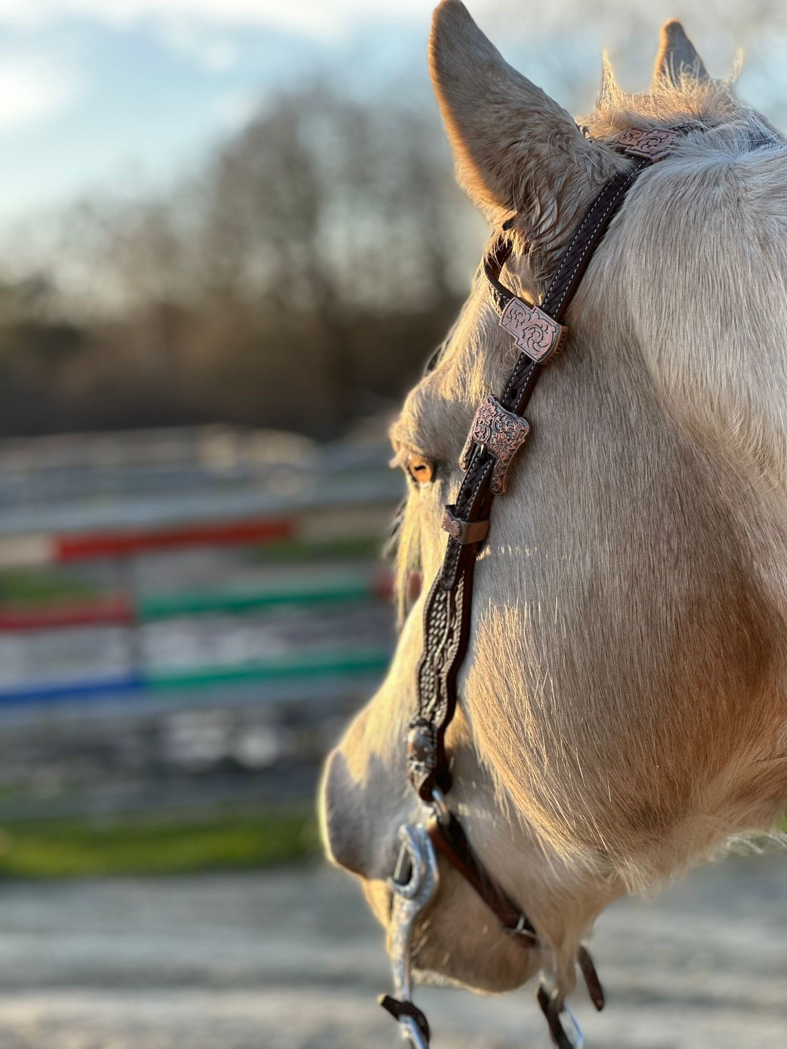 Zweiohr Kopfstück SN Antique Flower JW