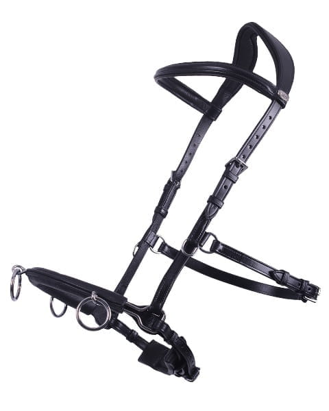 Anatomic Kappzaum Cavesson