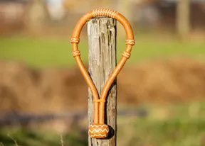 Bosal / Gebisslos