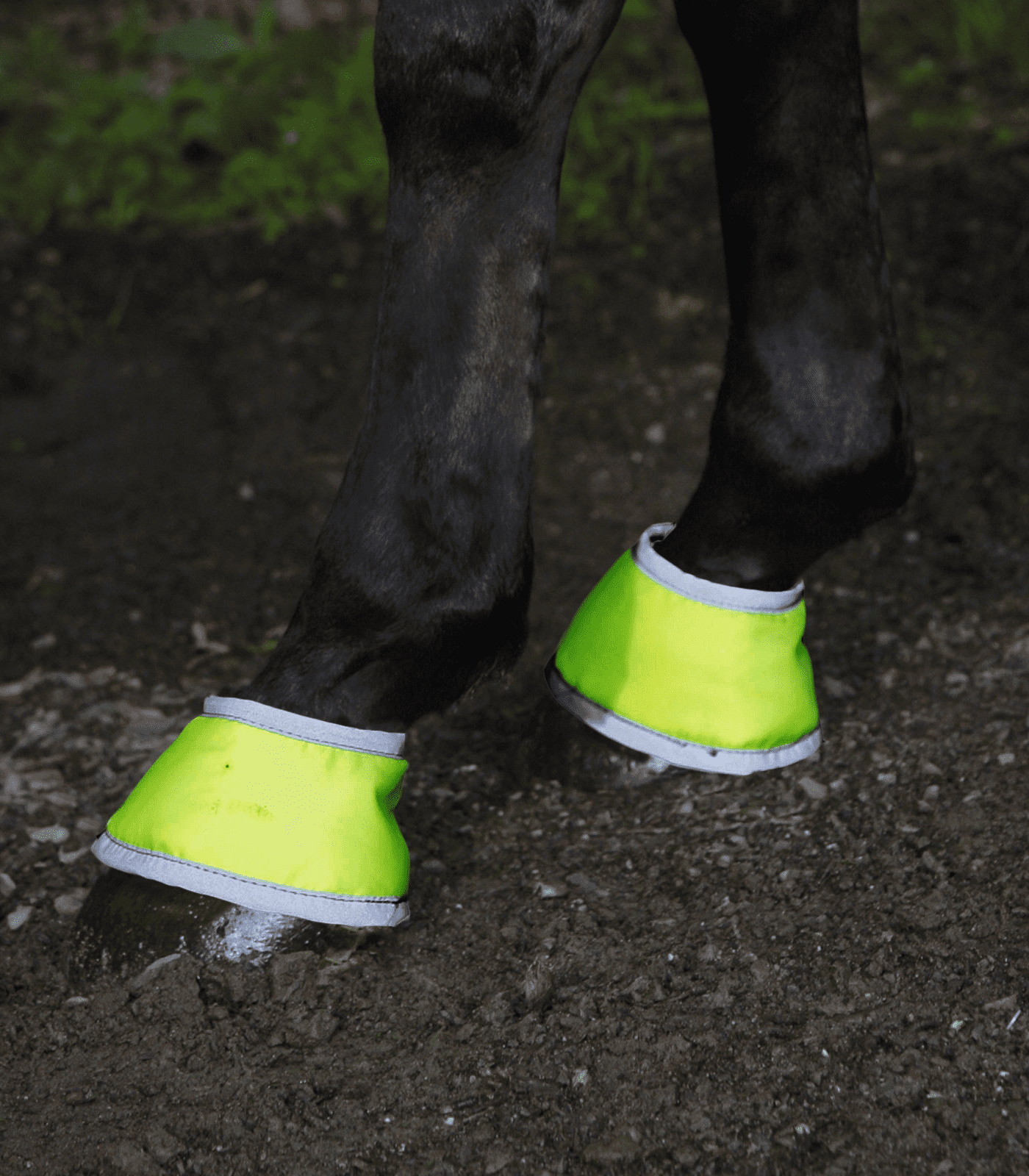 Bell Boots Reflex