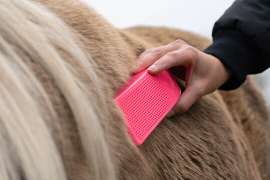 Excellent Horse Grooming Bürste