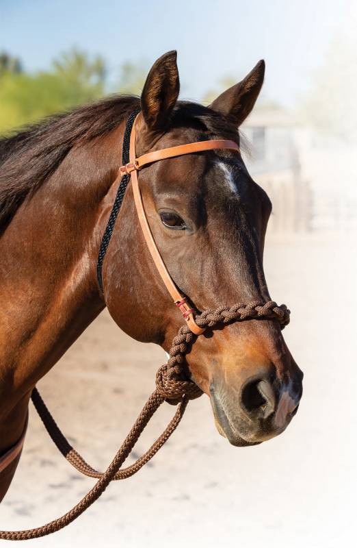 Schutz Brothers Loping Hackamore