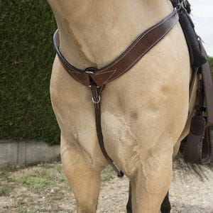 Vorderzeug Basic Büffelleder havanna