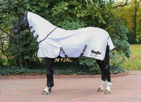 Fliegen & Ekzemerdecken