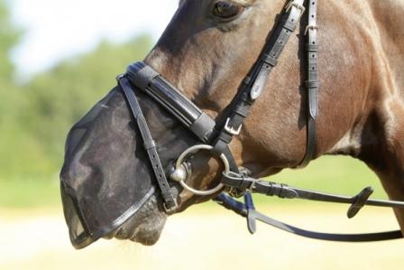 Nüsternschutz Fly Protector