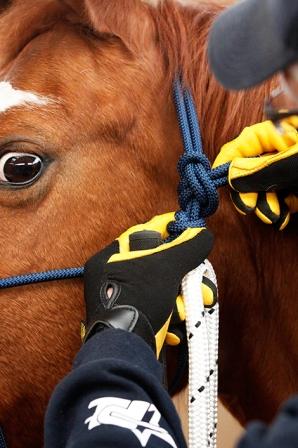 DIAMONT-KNOT  Rope Knotenhalfter