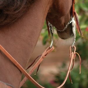 Herman Oak Harness Split Reins 1/2"