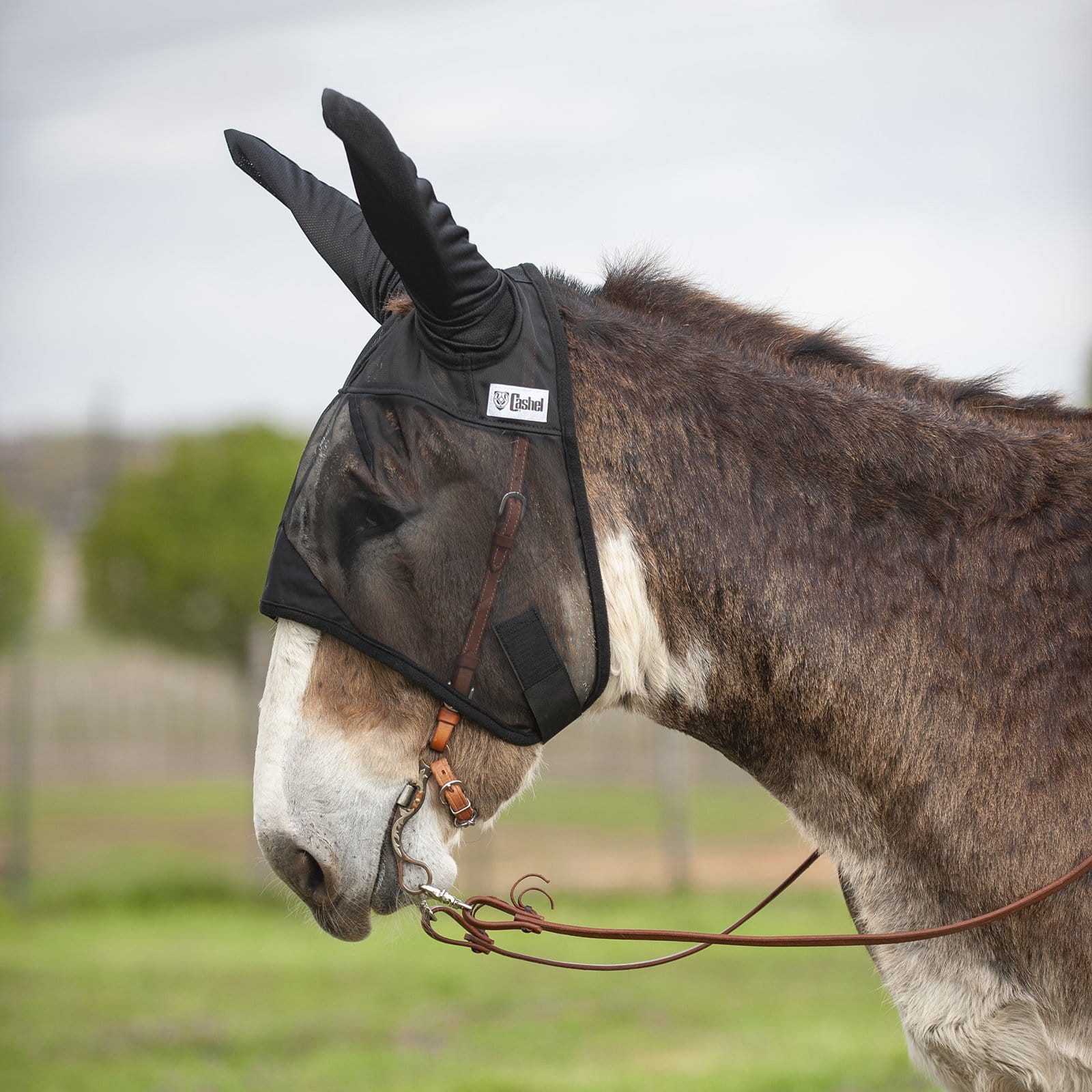 Cashel Quiet Ride Fly Mask with Mule Ears