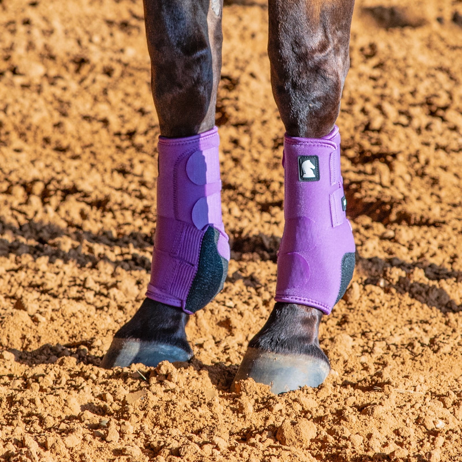 Classic Equine Legacy2 Support Boots Front violet purple