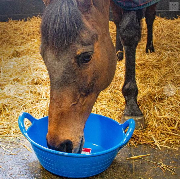 Gorilla Plas® S1 Small Skip 11L