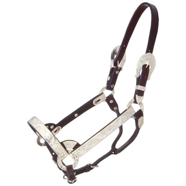 Royal King Deluxe Silver Show Halter