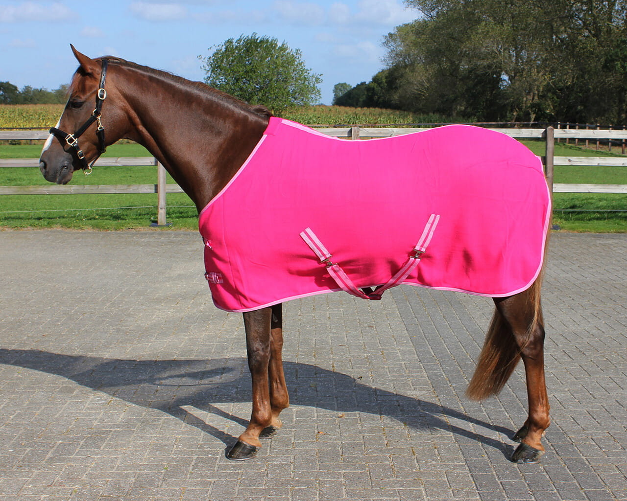 Horse Guard Pferde-Stalldecke Showdecke Für Pferde Mit Frontlatz Navy 155 Cm S0raj0j5 Horse Guard Pferde-Stalldecke Showdecke Für Pferde Mit Frontlatz Navy 155 Cm S0raj0j5