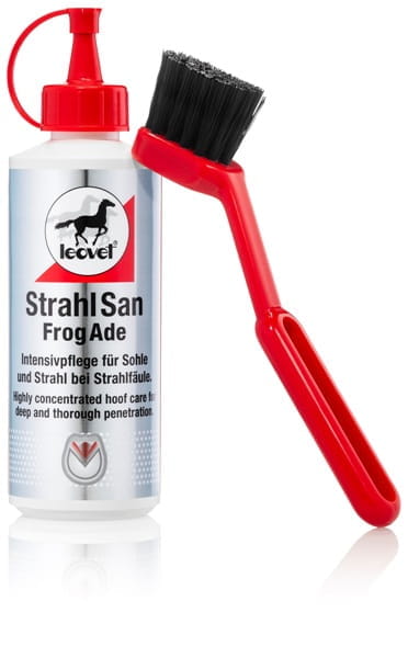 Leovet Strahlsan mit Pinsel