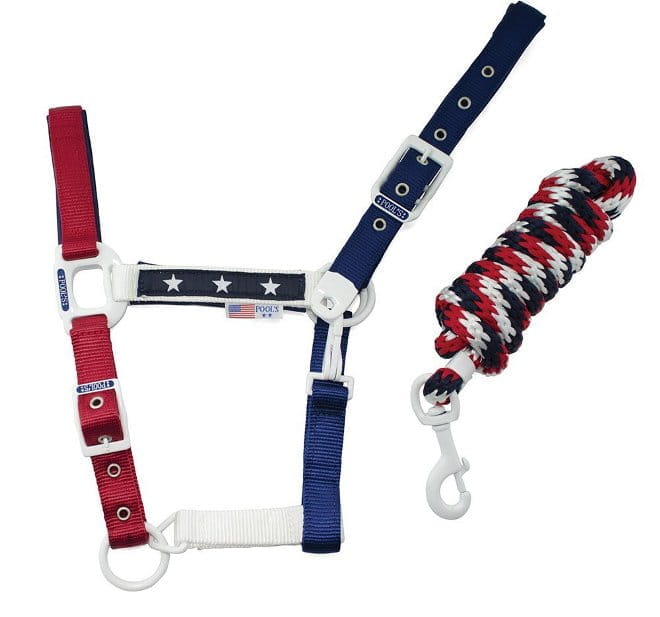 Pools Halfter Stars inkl Strick