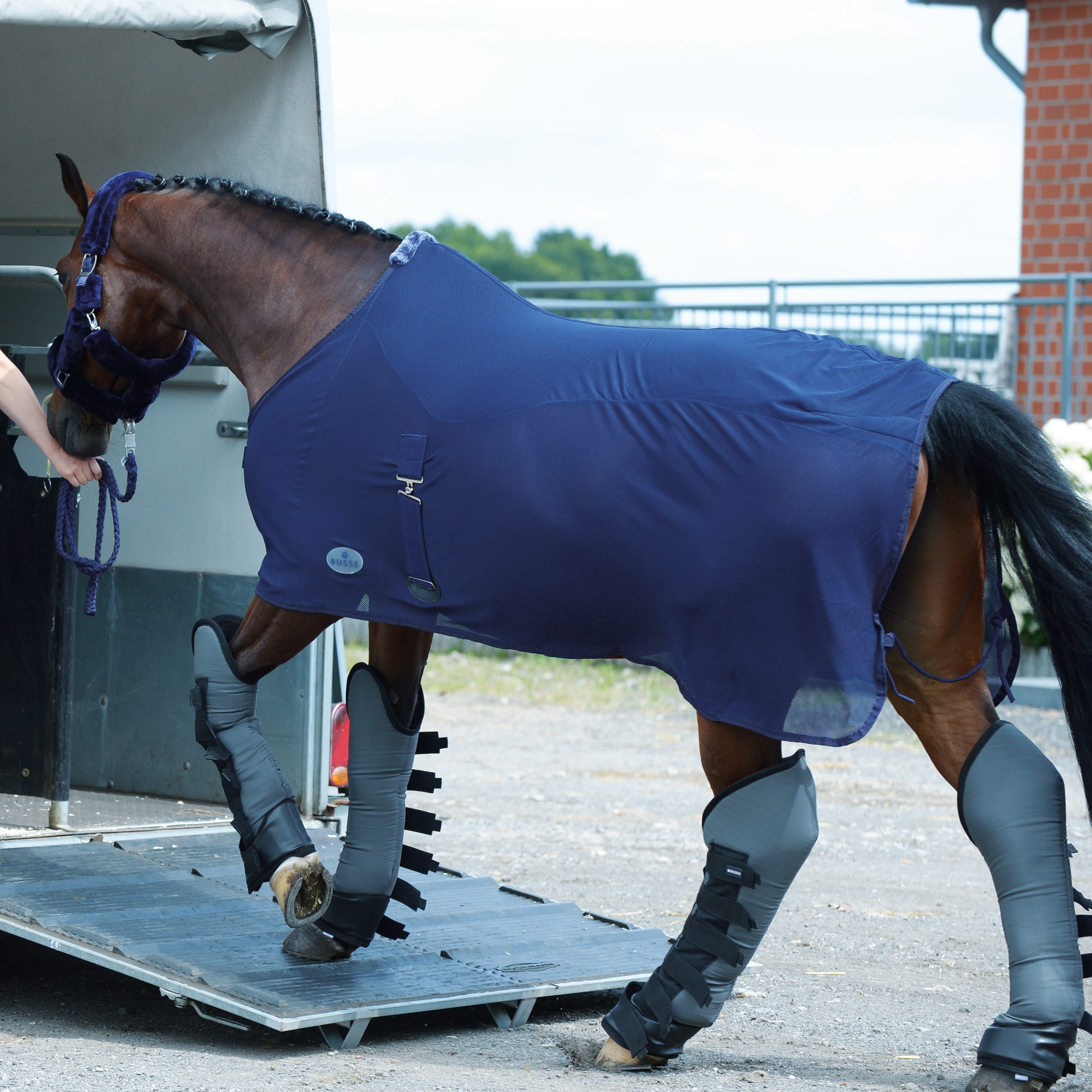 Abschwitzdecke Summer Fly II