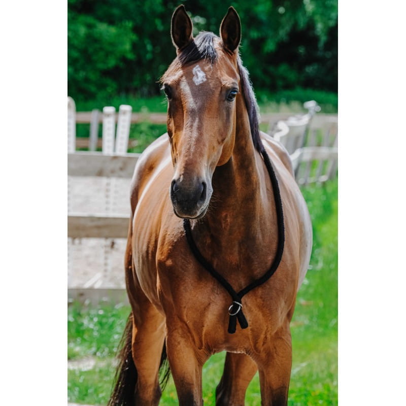 NORTON Ethologischer Halsring