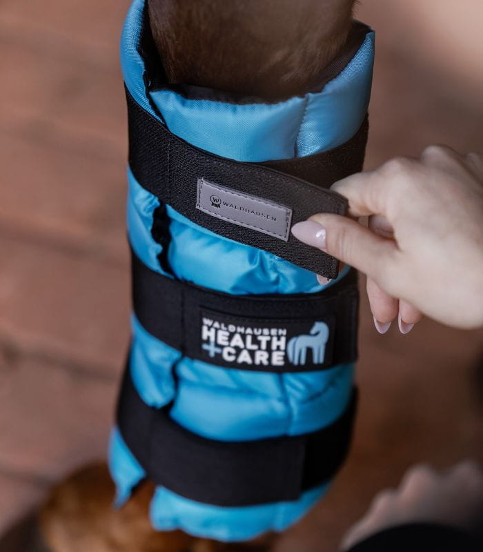 Waldhausen Health + Care Kühlgamasche