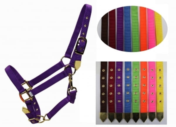 Deluxe Halfter in 8 verschiedenen Farben