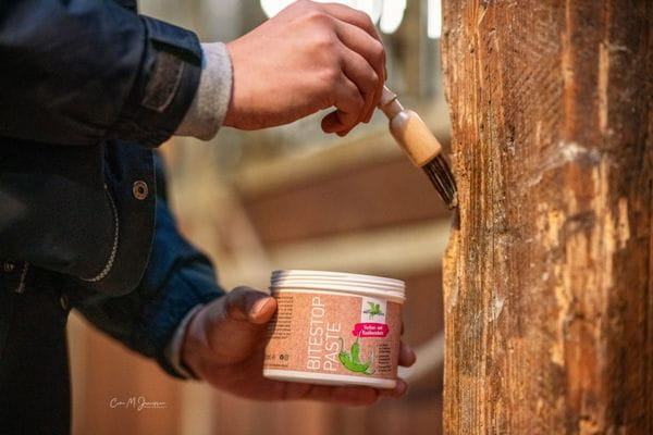 Bense & Eicke BiteStop Paste 500 ml