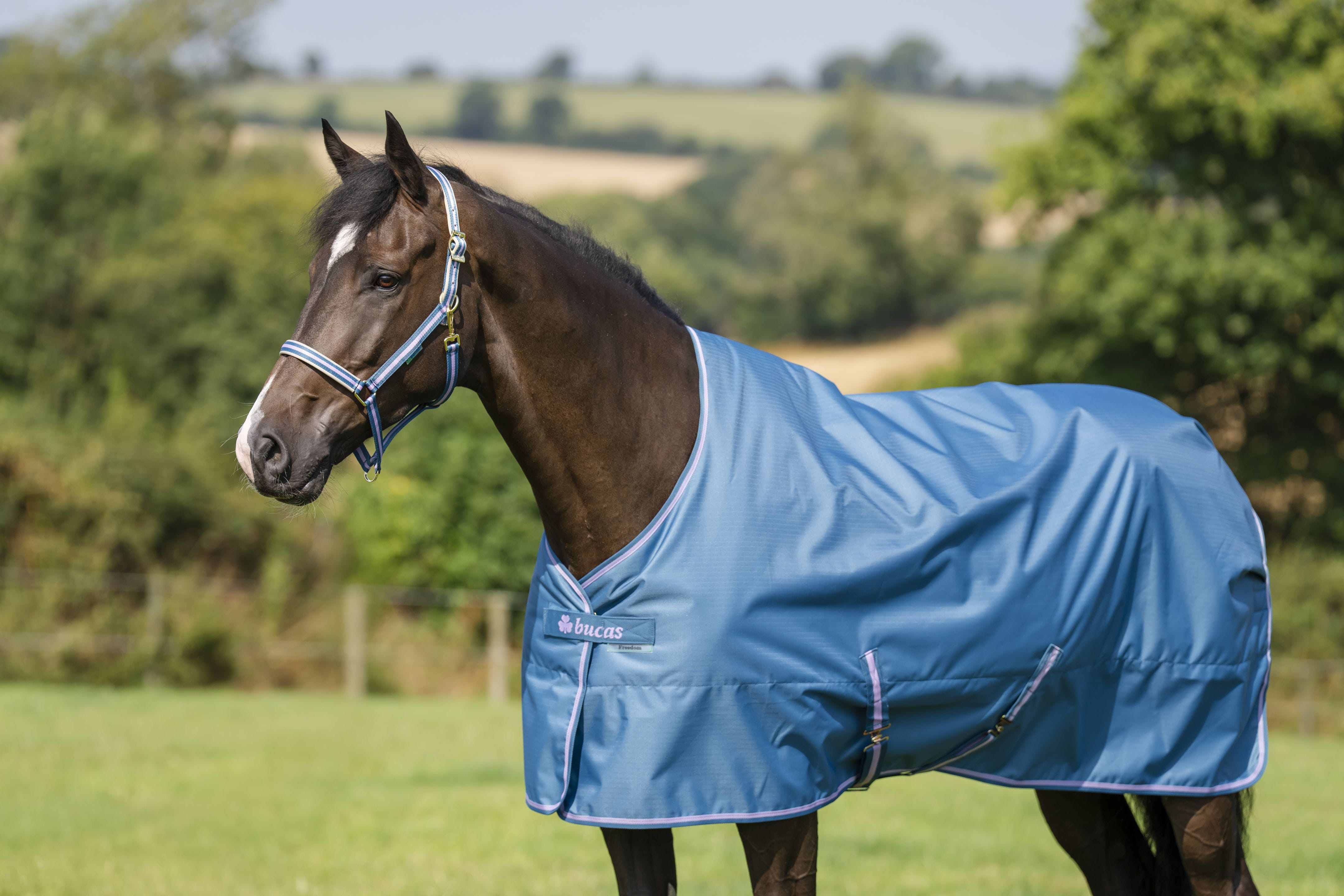 Bucas Freedom Turnout 300g 2026