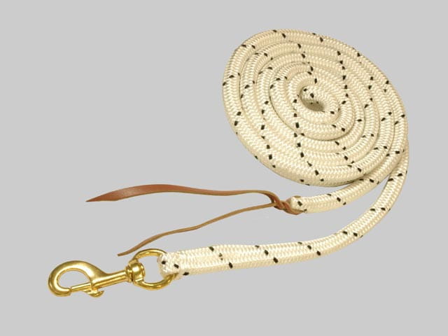 Schweres Bodenarbeitsseil HORSEMAN-SHIP mit Seele 4,8m lang