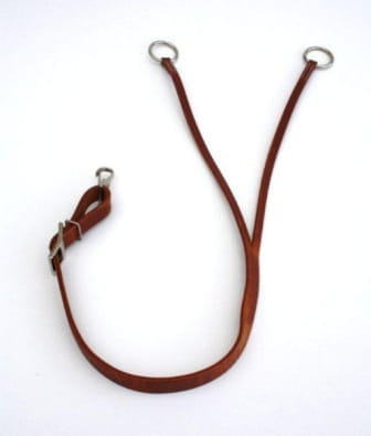 Trainings-Fork Harness