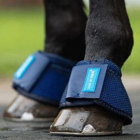 Hufglocken & Bellboots