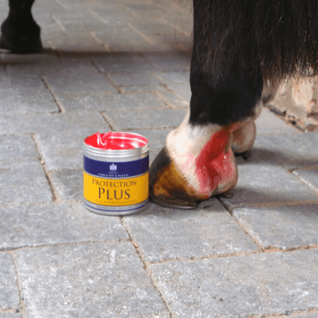 Carr Day Martin Protection Plus antibakterielle Salbe