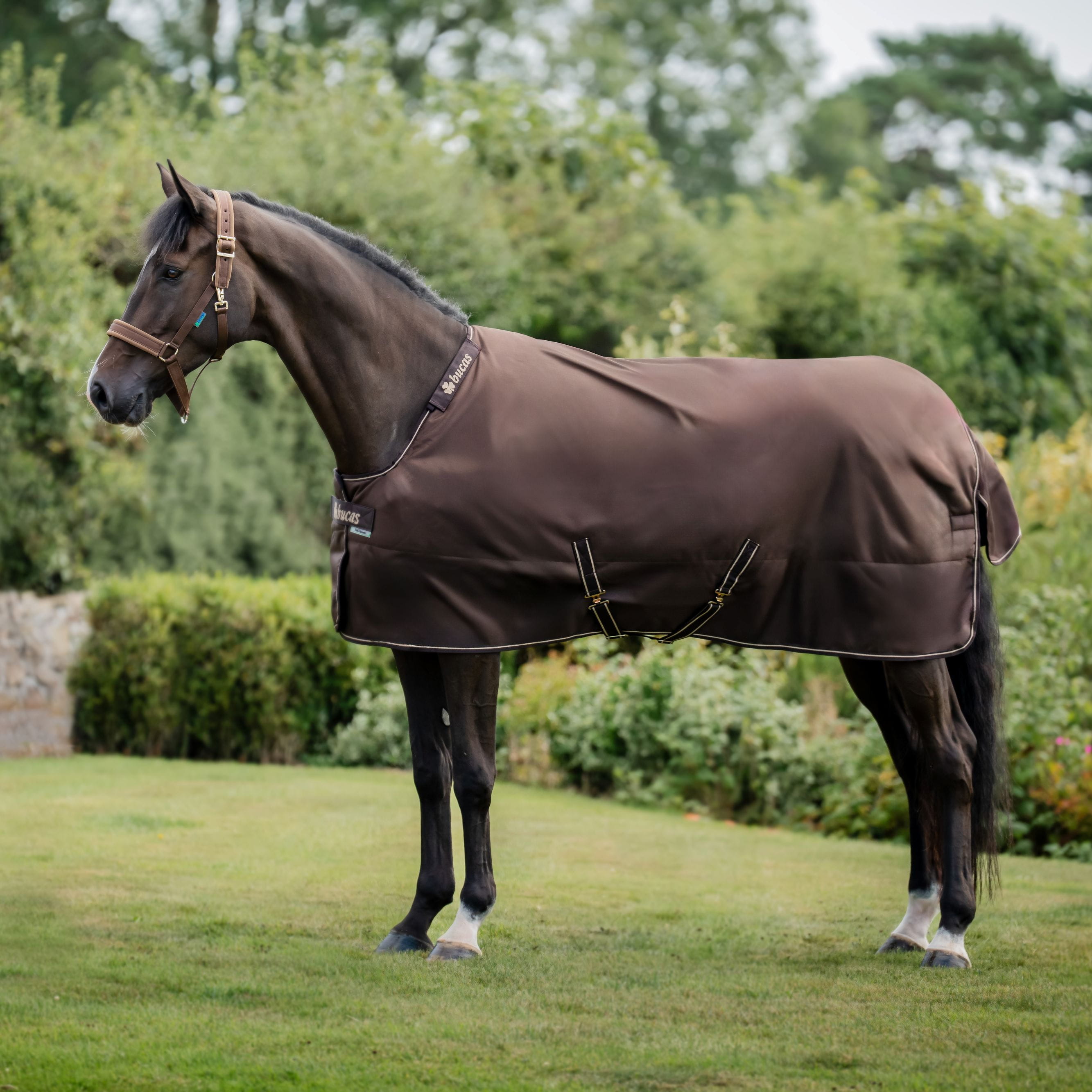 Bucas Irish Turnout 150g + Halsteil Espresso