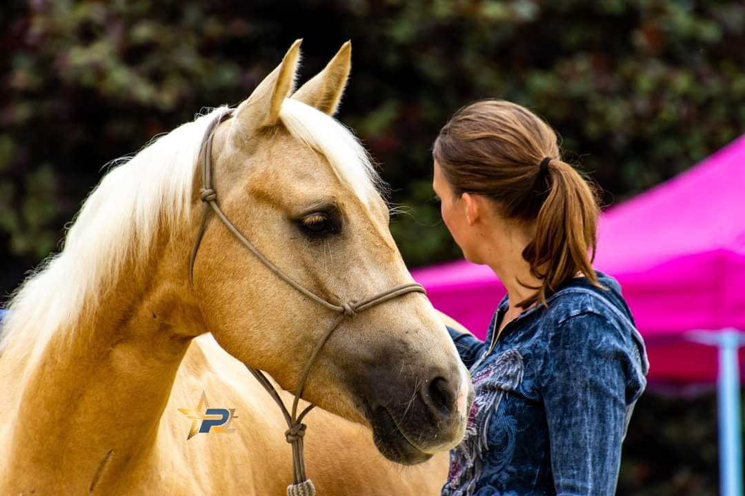 Double Diamond Knotenhalfter Buck Brannaman Solid Color