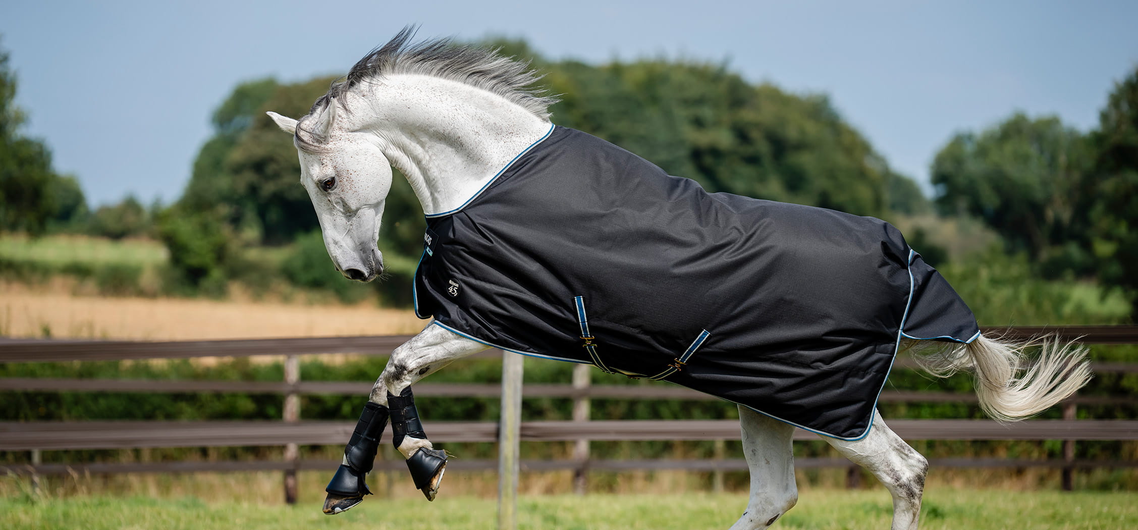Bucas Anniversary Turnout Light SD Sapphire
