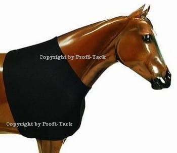 Sleazy Stretch Rug Basic Brustschutz Schulterschutz