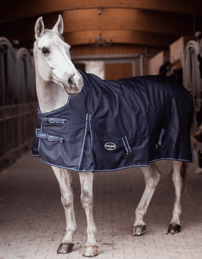 Tough Horse 1200D Regendecke blau mit 150G
