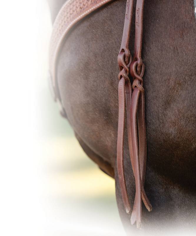 ProfChoice Popper Tail Heavy oiled Split Reins