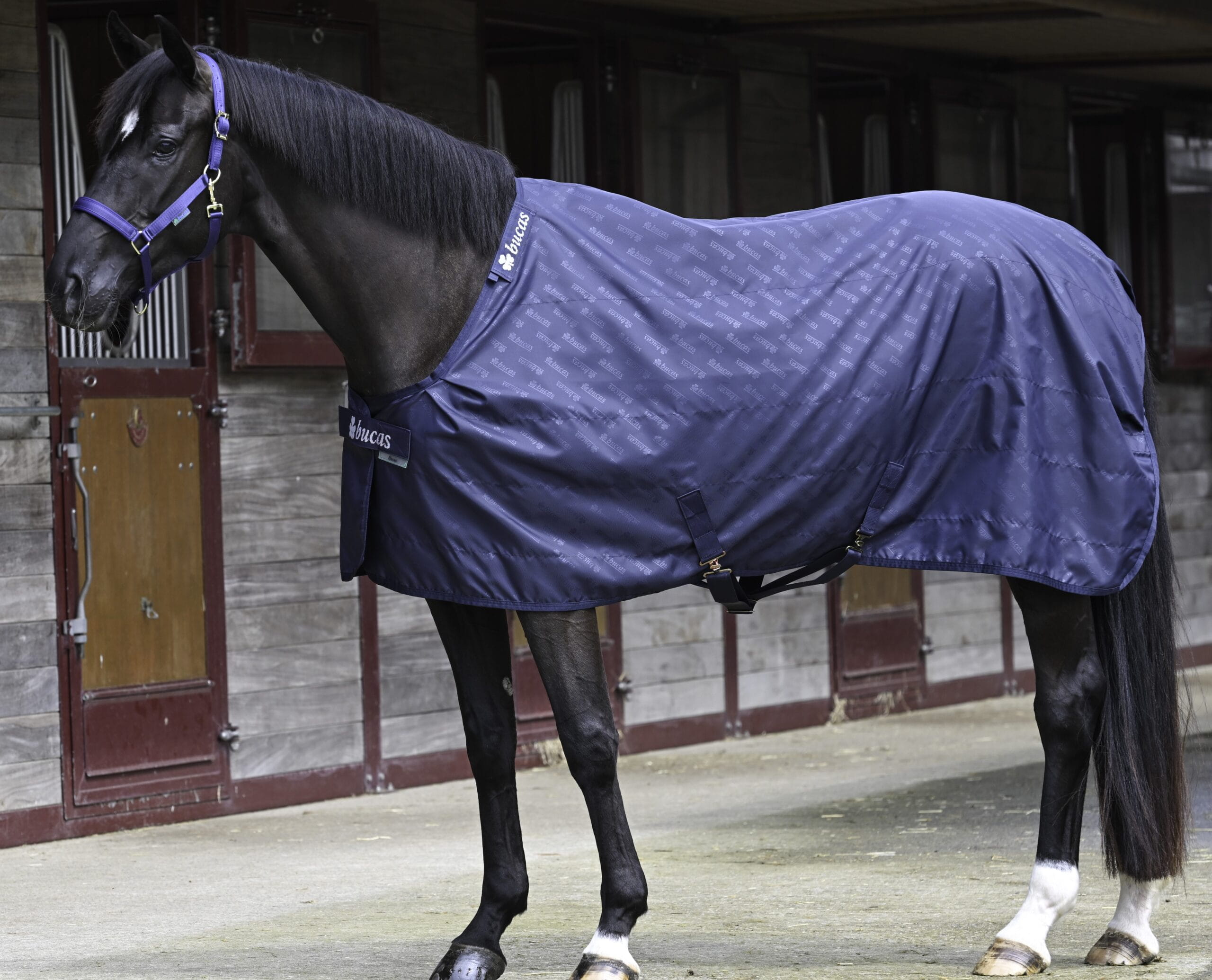 Bucas Stable Sheet 0G